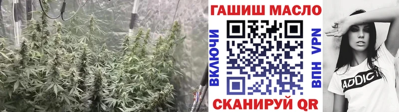 Купить  Галич  ТГК концентрат 