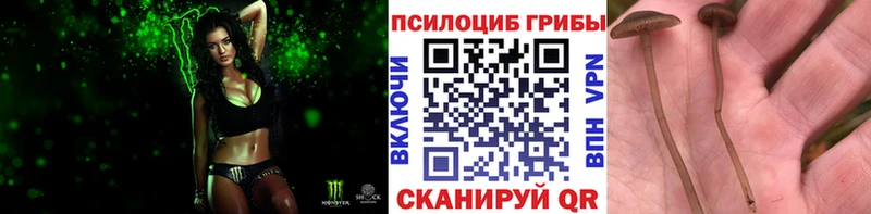 Галлюциногенные грибы Magic Shrooms  Купить где  Галич 